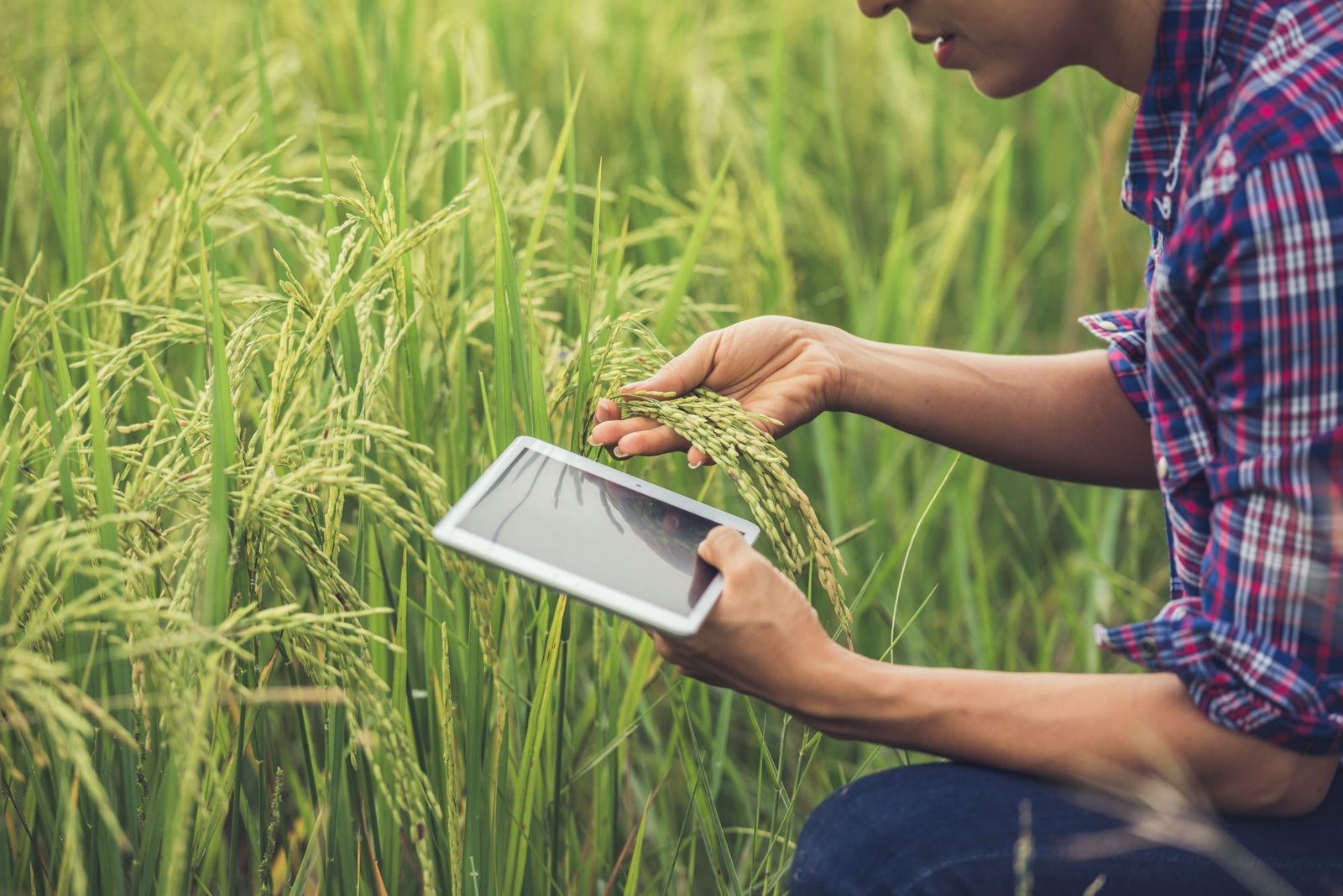 Sustainable Agriculture Trends Every Farmer Should Know