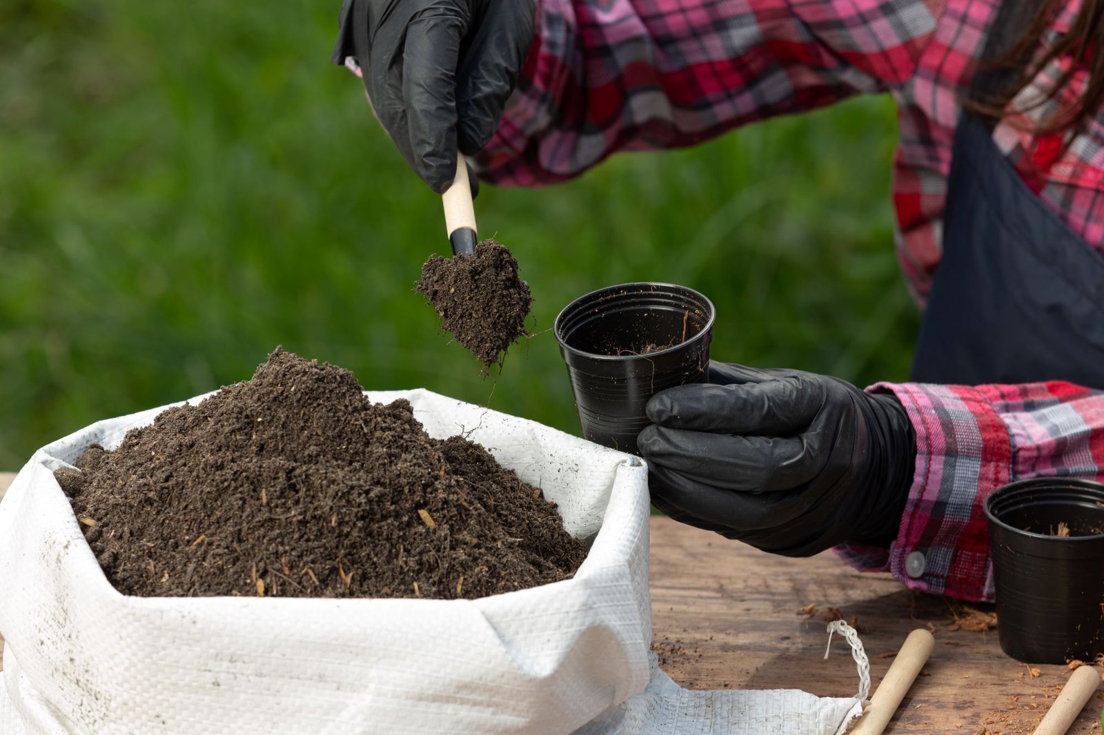 Best Bio Fertilizers for Healthy Crop Growth