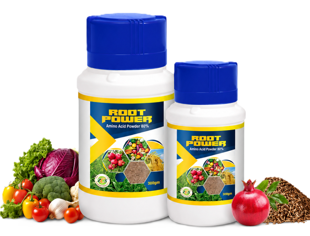 Root Power