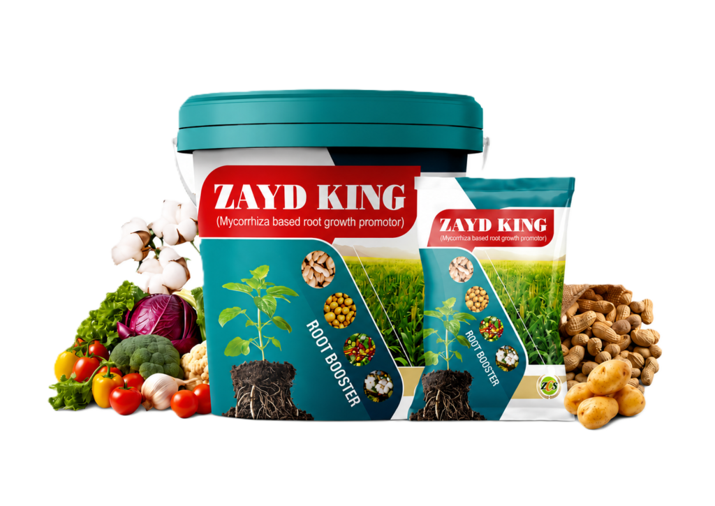 ZAYD King