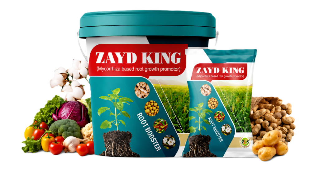 ZAYD King
