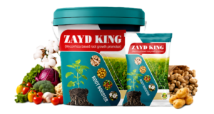 ZAYD King