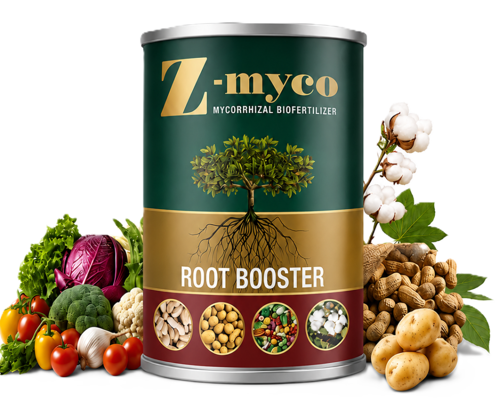 Z-Myco
