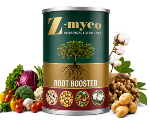 Z-Myco
